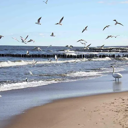 شقة Balticstars Polanki كولوبرزيغ